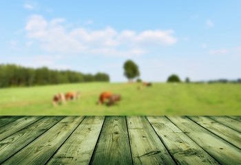 empty table © Piotr Krzeslak