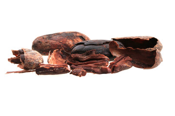 fresh cocoa bean
