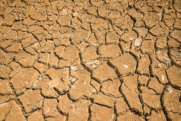 Land with dry and cracked ground in Tay Nguyen, Central Highlands of Vietnam