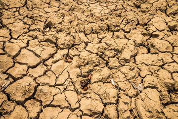 Land with dry and cracked ground in Tay Nguyen, Central Highlands of Vietnam