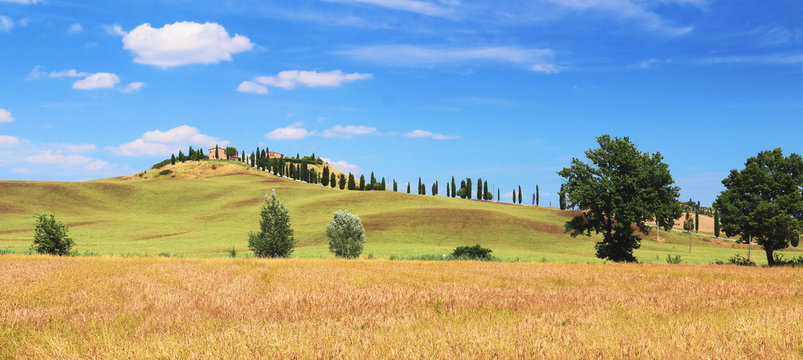 Paysage Siennois en Toscane
