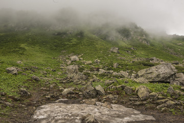 mountainside with bushes covered with clouds