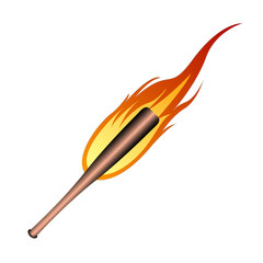 Isolated baseball bat