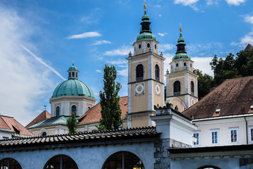 Fototapeta na wymiar St Nicholas Cathedral (Cerkev sv Nikolaja). Ljubljana, Slovenia.