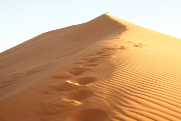 Fototapeta na wymiar Düne 45, Sossusvlei, Namibia