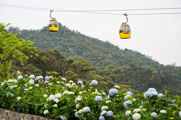 Da Nang, Vietnam - Apr 2, 2016: Cable car with flowers on foreground for transportation to Ba Na Hills site, 30km from Da Nang city