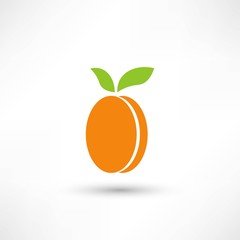 Apricot with leaves icon