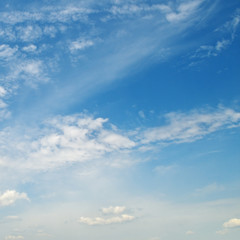 Obraz premium light cumulus clouds in the blue sky