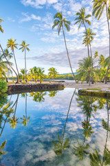 Fototapeta na wymiar Beautiful landscape of palm trees reflected in the water in Big Island, Hawaii