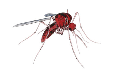 3d render of a mosquito