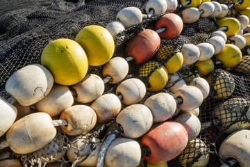 Fishing nets in Harbor Los Angelos