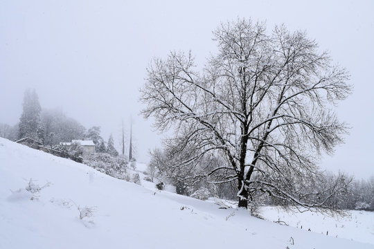 La prairie du Roussillon, au-dessus du Versoud, avec 25 cm de neige