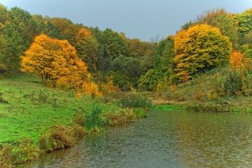 rain on the lake in autumn