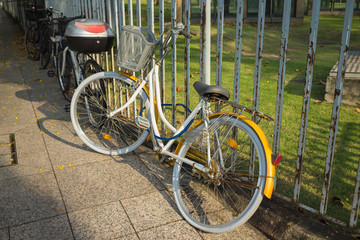Fototapeta na wymiar Bike locked to metal fence of park in Singapore