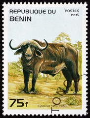 Postage stamp Benin 1995 African Buffalo, Animal
