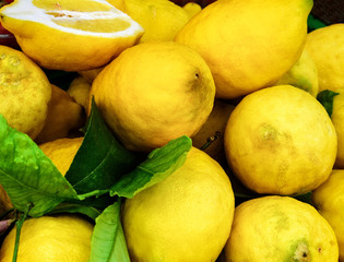 Large Lemons