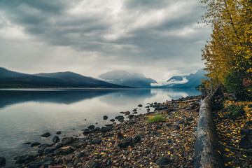 Autumn leaves on a lake shore.