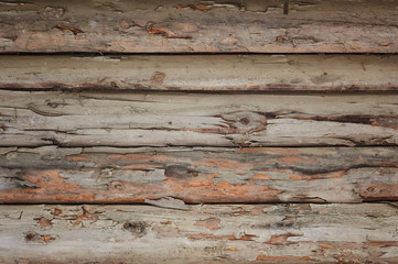 Old light wooden grunge planks