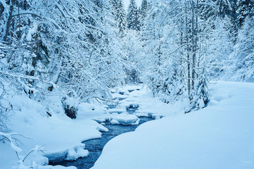 Winter mountain river after the snowfall