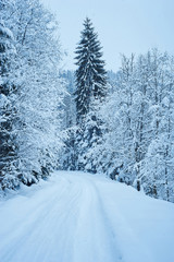Winter road after the snowfall