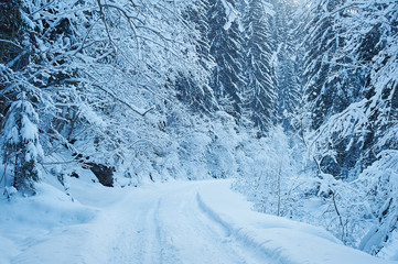 Winter road after the snowfall