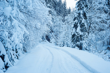 Winter road after the snowfall