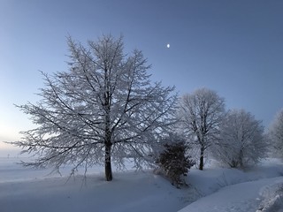 Kalter Wintertag mit Schnee bei Morgengrauen