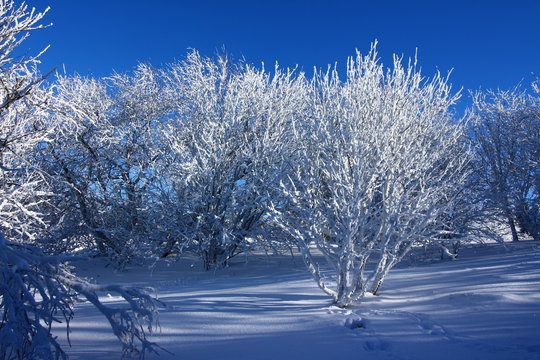 Winter in der Rh&ouml;n