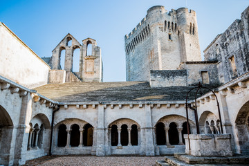 Dans l'Abbaye de Montmajour pr&egrave;s d'Arles