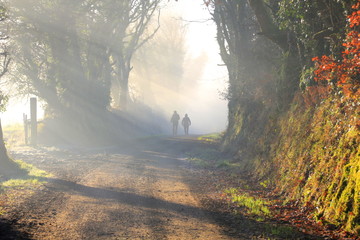 Couple is walking together in a foggy forest in the morning sun - obrazy, fototapety, plakaty
