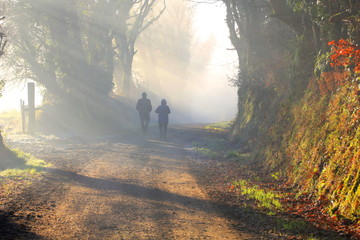 Couple is walking in the foggy forest in the morning sun - obrazy, fototapety, plakaty