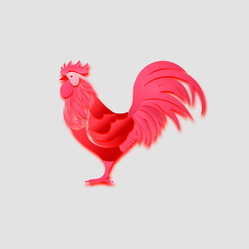 Red rooster, symbol of 2017 on the Chinese calendar, vector illustration