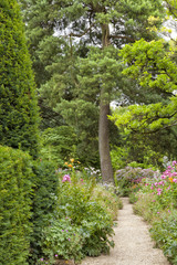 Garden gravel footpath towards a pine tree, between colorful cottage flowers on a summer sunny day - 133949407