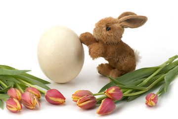 Easter egg and tulips with Rabbit