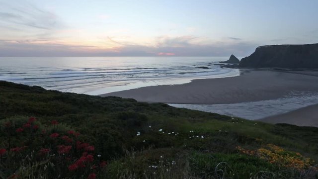 Pink sunset ocean scenery with flowers in front and summer Odeceixe beach (Aljezur, Algarve, Portugal).
