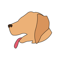 dog cartoon icon over white background. colorful design. vector illustration
