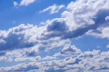 Fototapeta premium Cumulus clouds with blue sky