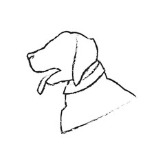 dog cartoon icon over white background. vector illustration