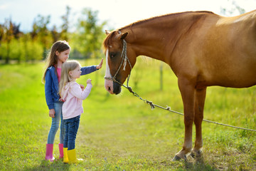 Two cute little sisters petting a horse in countryside