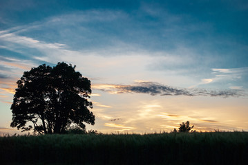Sunset, Pitfour Lake, Old Deer, Aberdeenshire