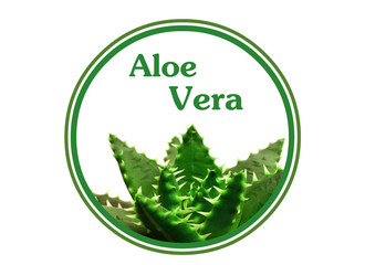 aloe vera aloès