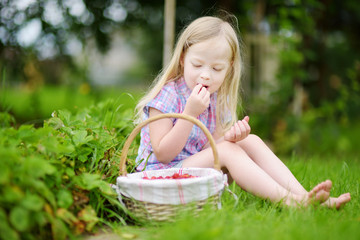 Cute little girl picking fresh wild strawberries on organic strawberry farm