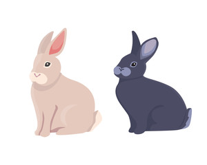 vector illustration of cartoon rabbits different breeds. Fine bunnys for veterinary design