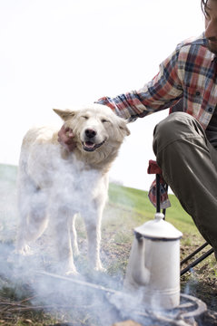 Cropped image of man stroking dog by bonfire at campsite