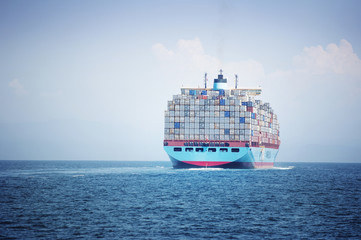 Container ship loaded with cargo containers sailing on sea against sky