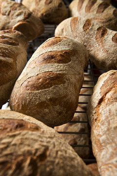 Close up of bread loafs on cooling rack