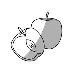 apple fruit icon over white background. vector illustration