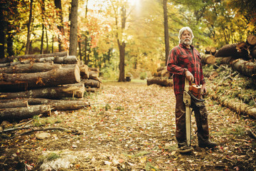 Portrait of confident lumberjack holding chainsaw in forest