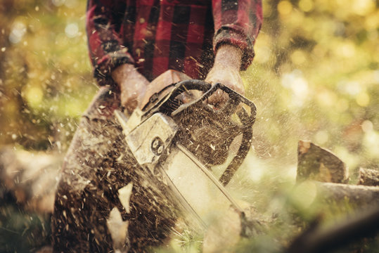 Lumberjack Images – Browse 392,295 Stock Photos, Vectors, and Video