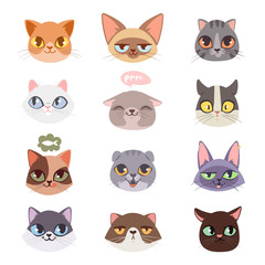 Cats vector heads illustration